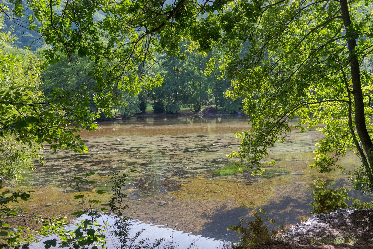 Een gids voor groei en zelfontdekking